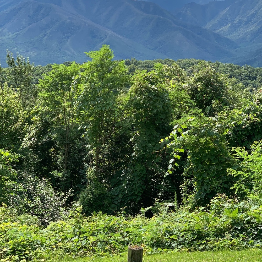 Meet your Posher, Sue
